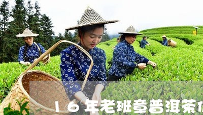 16年老班章普洱茶价格多少/2023052843716