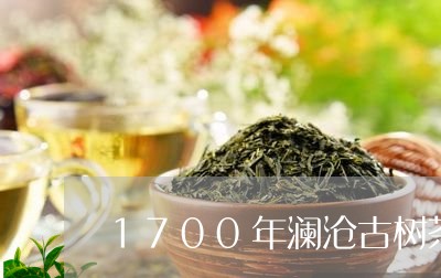 1700年澜沧古树茶/2023071653714