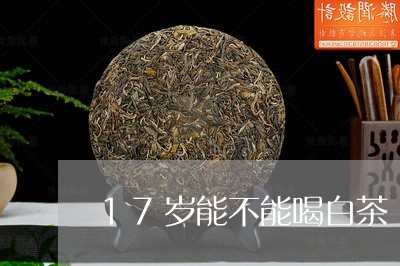 17岁能不能喝白茶/2023071313048