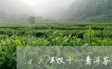 17年双十一普洱茶类/2023092822045