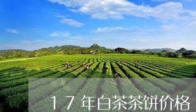 17年白茶茶饼价格/2023071347482