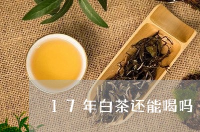 17年白茶还能喝吗/2023121326292