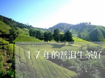 17年的普洱生茶好/2023042774138