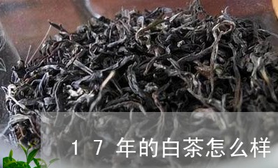 17年的白茶怎么样/2023071342725