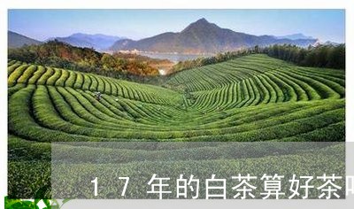 17年的白茶算好茶吗/2023092760504