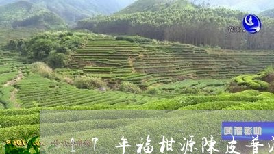 17年福柑源陈皮普洱茶/2023120714915