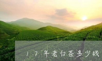 17年老白茶多少钱/2023071391582