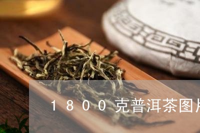 1800克普洱茶图片/2023062839171