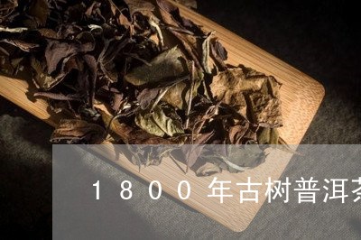 1800年古树普洱茶/2023080148262