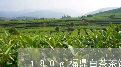 180g福鼎白茶茶饼/2023120765058