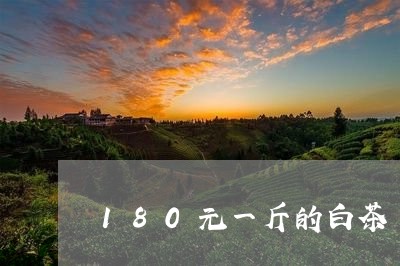 180元一斤的白茶/2023121500613