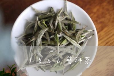 1856普洱茶/2023081884957