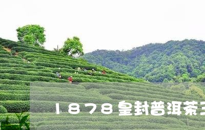 1878皇封普洱茶王多少钱/2023052719814