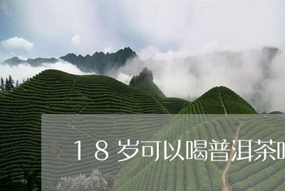 18岁可以喝普洱茶吗/2023092971592