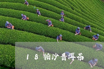 18帕沙普洱茶/2023102680695