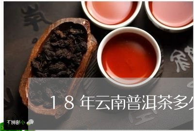 18年云南普洱茶多少钱/2023050545946