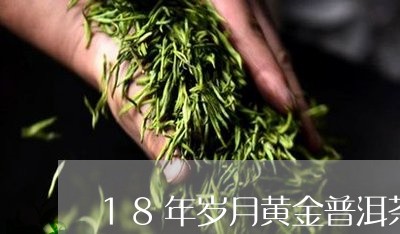 18年岁月黄金普洱茶怎么样/2023110584858