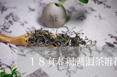 18年忙肺普洱茶推荐/2023073012706