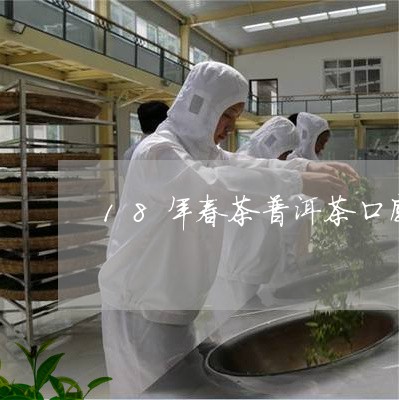 18年春茶普洱茶口感/2023062758372