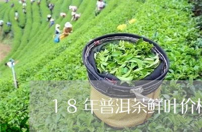 18年普洱茶鲜叶价格/2023062110826