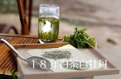 18年白茶白牡丹/2023090672715