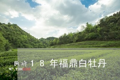 18年福鼎白牡丹/2023090697281