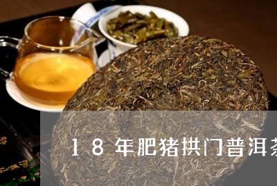 18年肥猪拱门普洱茶/2023062757269