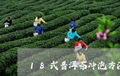 18式普洱茶冲泡方法/2023080172718