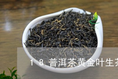 18普洱茶黄金叶生茶/2023061419381