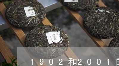 1902和2001的普洱茶/2023052748260