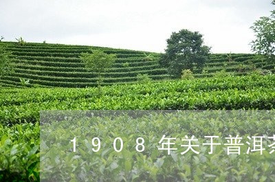 1908年关于普洱茶/2023100658370