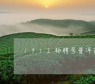 1912杨聘号普洱茶/2023100684058