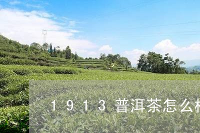 1913普洱茶怎么样/2023100538150