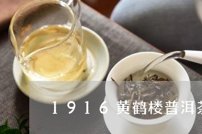 1916黄鹤楼普洱茶/2023100691804