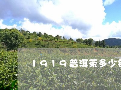 1919普洱茶多少钱/2023120691714