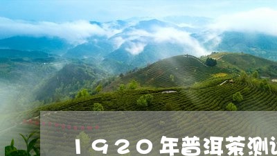 1920年普洱茶测评/2023120684037