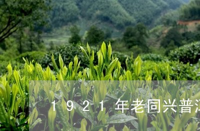 1921年老同兴普洱茶价格/2023052709804