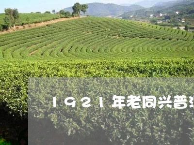 1921年老同兴普洱茶饼价格/2023053039461