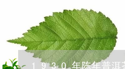 1930年陈年普洱茶/2023080350593