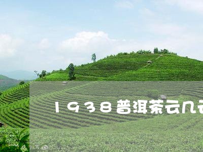 1938普洱茶云几云/2023080222693