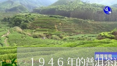 1946年的普洱茶还能喝吗/2023052819582