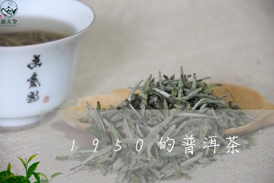 1950的普洱茶/2023120364057