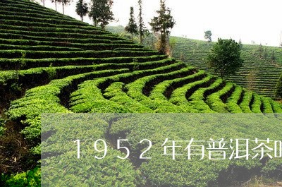 1952年有普洱茶吗/2023062053727