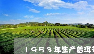 1953年生产普洱茶/2023061960673