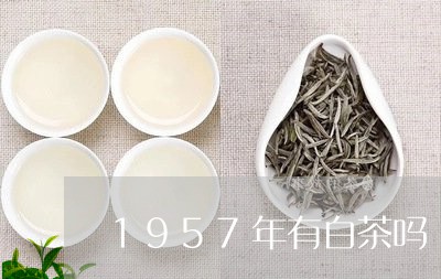 1957年有白茶吗/2023071367292