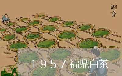 1957福鼎白茶/2023112676048