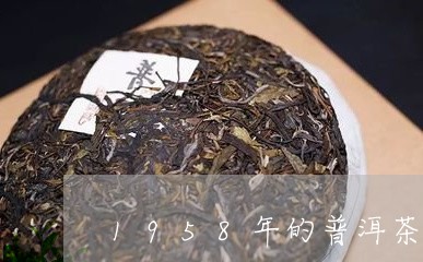 1958年的普洱茶/2023070929582