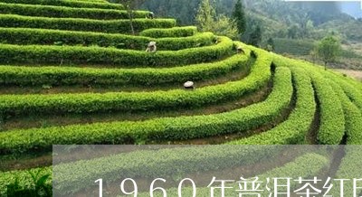 1960年普洱茶红印/2023080289403