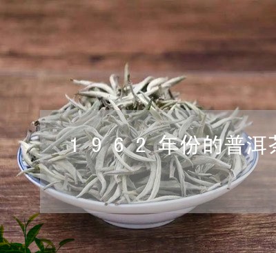 1962年份的普洱茶/2023092998360