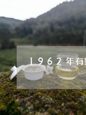 1962年有熟普洱茶/2023092926068